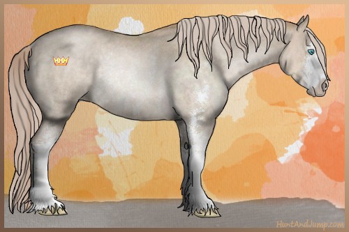 Horse Color:Chocolate Palomino Roan Pearl Sabino Rabicano 
