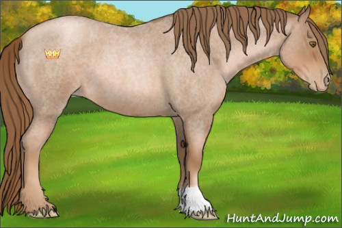 Horse Color:Liver Red Roan Pearl