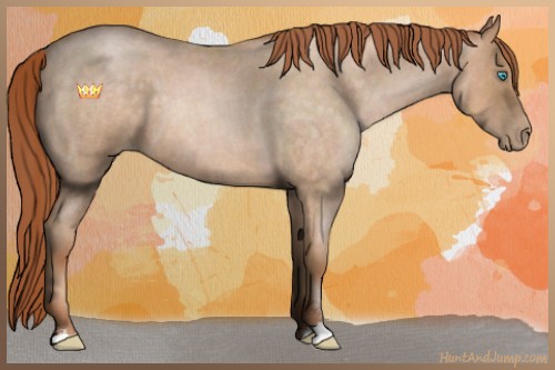 Horse Color:Buckskin Roan Pearl Sabino 