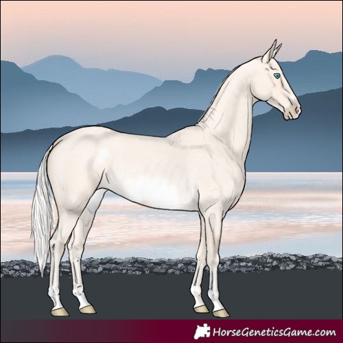 Horse Color:Silver Perlino Roan Frame 