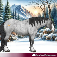 Horse Color:Blue Roan Sabino 