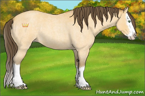 Horse Color:Amber Cream Champagne Roan Splash 