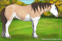 Horse Color:Amber Champagne Sabino Splash 