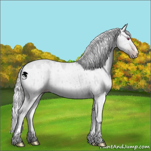 Horse Color:Silver Classic Champagne Chinchilla Dun Sabino Brindle 