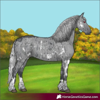 Horse Color:White Spotted Silver Grullo Chinchilla Sabino Brindle 