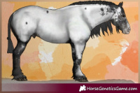 Horse Color:Black Sabino Near Fewspot 