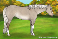 Horse Color:Liver Red Dun Mushroom 