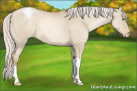 Horse Color:Silver Buckskin Pearl Dun Mushroom Varnish 