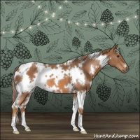 Horse Color:White Spotted Chestnut 