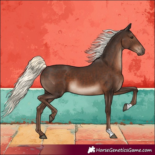 Horse Color:Liver Chestnut Mushroom 