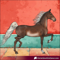 Horse Color:Liver Chestnut Mushroom 