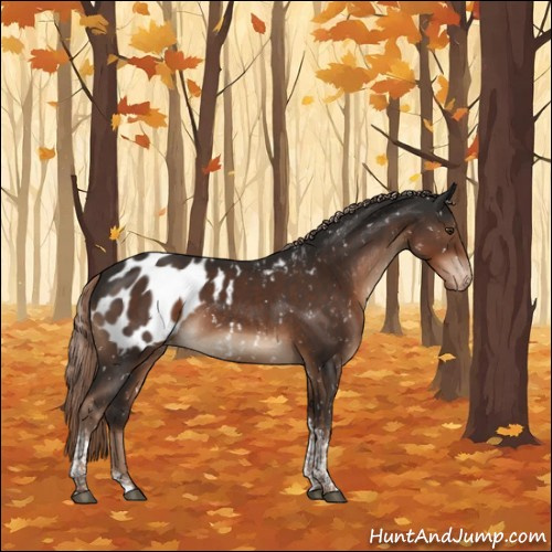 Horse Color:Liver Chestnut Tobiano Blanket