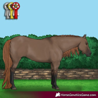 Horse Color:Liver Red Dun Rabicano 
