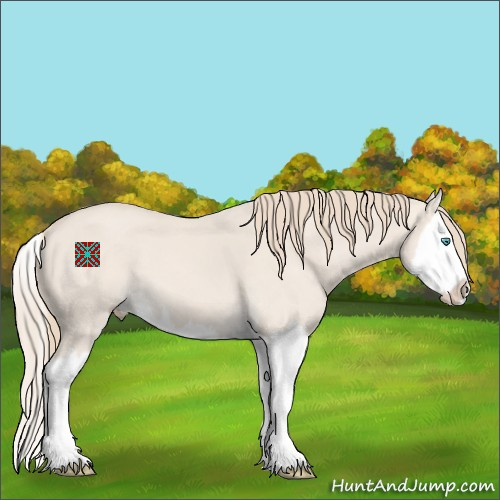 Horse Color:Smoky Creme Dun Splash 
