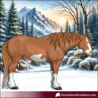 Horse Color:Chestnut Splash Frame