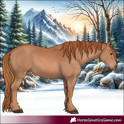 Horse Color:Chestnut 