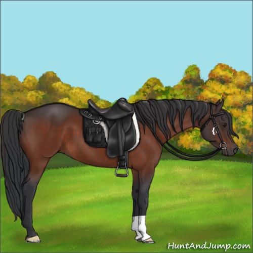 Horse Color:Brown 