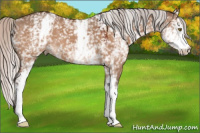 Horse Color:White Spotted Silver Brown Dun