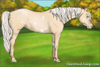 Horse Color:White Spotted Silver Buckskin Pearl 