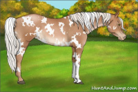 Horse Color:White Spotted Silver Brown Pearl 