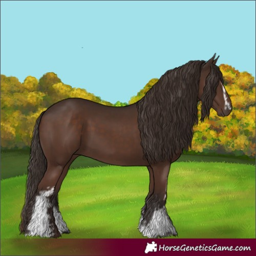 Horse Color:White Spotted Liver Chestnut 