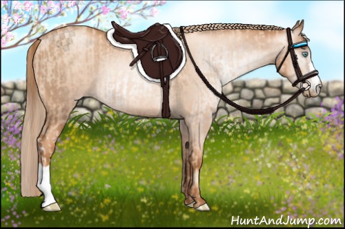 Horse Color:Gold Champagne Pearl Rabicano  and Gray Gold Champagne Pearl Rabicano 