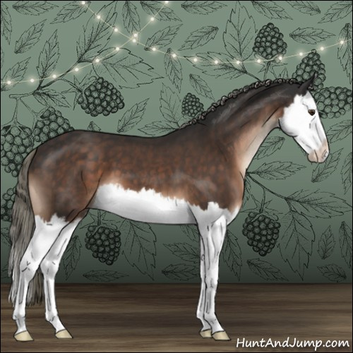 Horse Color:Liver Chestnut Mushroom Splash