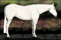 Horse Color:Silver Smoky Creme
