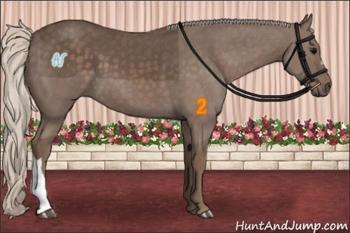 Horse Color:Silver Black 