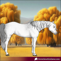 Horse Color:Gray White Spotted Smoky Black Ice 
