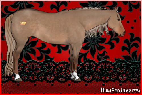 Horse Color:Liver Red Dun Sabino