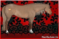 Horse Color:Liver Red Dun Sabino 
