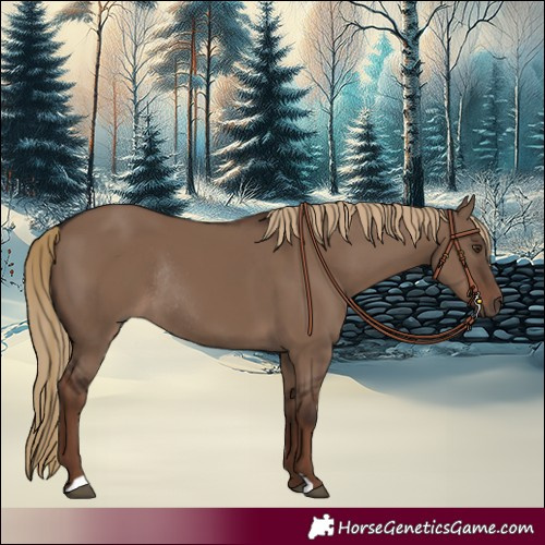Horse Color:Liver Red Dun Rabicano