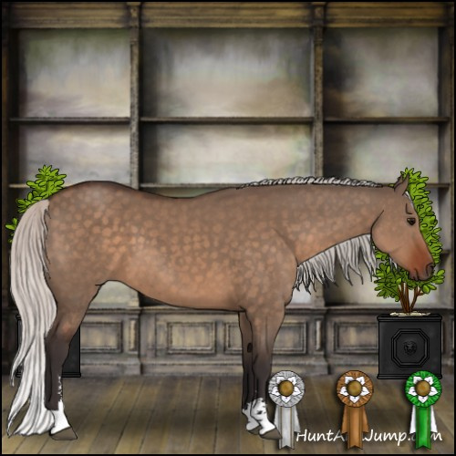 Horse Color:Silver Brown Dun Sabino 