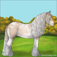 Horse Color:Chocolate Silver Classic Champagne Tobiano Rabicano
