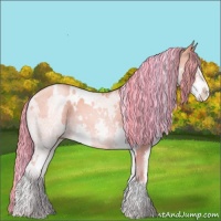 Horse Color:Painted White Spotted Gold Champagne Pearl Splash 