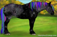 Horse Color:Void Painted Watercolor White Spotted Midnight Brown Ice Onyx Sabino Appaloosa 