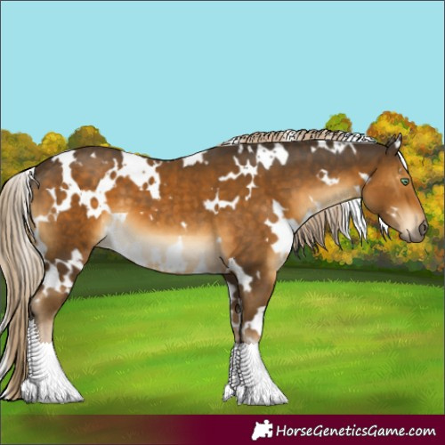 Horse Color:White Spotted Chocolate Palomino Mushroom 