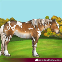 Horse Color:White Spotted Chocolate Palomino Mushroom 