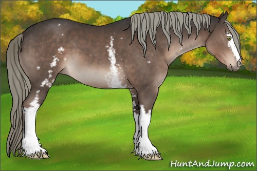 Horse Color:White Spotted Liver Chestnut Mushroom Sabino 