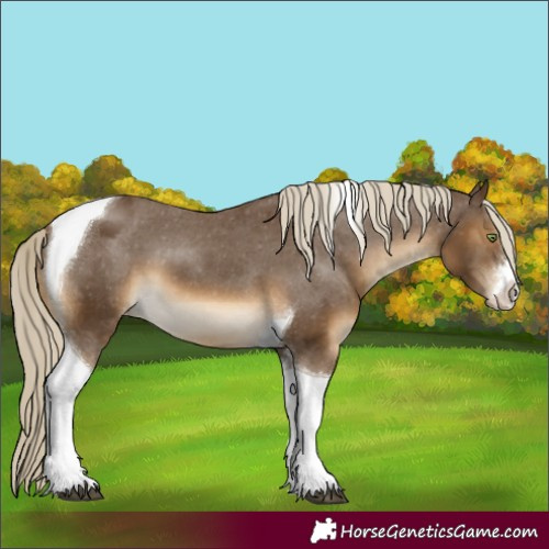 Horse Color:White Spotted Chocolate Palomino Tobiano Blanket 