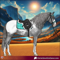 Horse Color:Black Appaloosa 