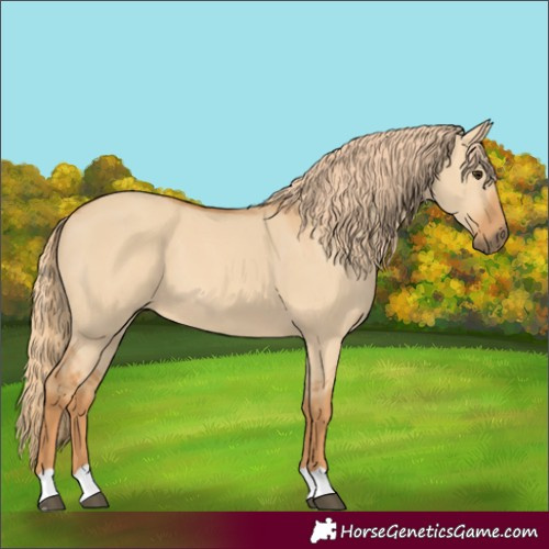 Horse Color:Red Dun 