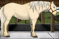 Horse Color:Palomino Dun 