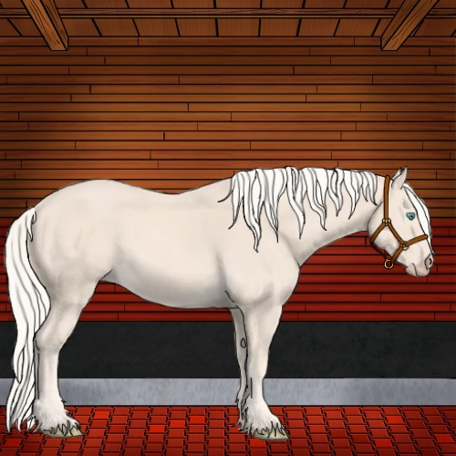 Horse Color:Cremello 