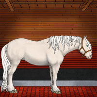 Horse Color:Cremello 