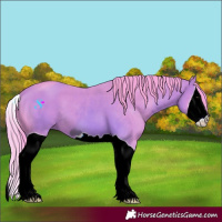 Horse Color:ERROR: UNKNOWN ANOMALY