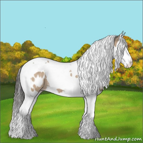 Horse Color:Bay Dun Splash Tobiano Appaloosa 
