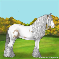 Horse Color:Bay Dun Splash Tobiano Appaloosa 