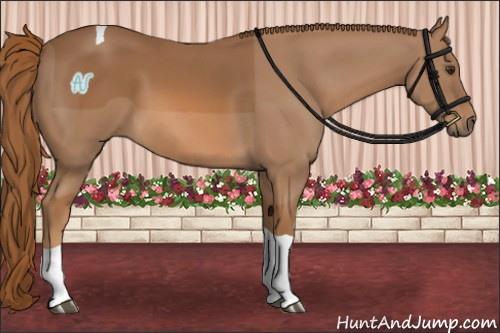 Horse Color:Chestnut Tobiano